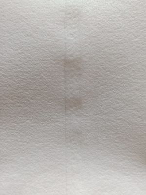 Bolso de filtro líquido de los PP PE NMO 10 Mircron 1200um para la filtración del agua